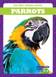 Parrots cover image cdn