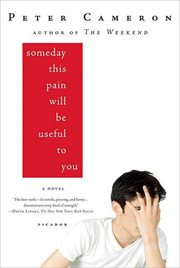 Someday This Pain Will Be Useful to You : A Novel cover image cdn