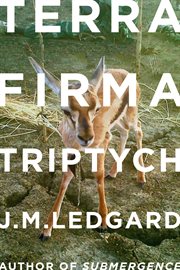 Terra Firma Triptych : When Robots Fly cover image cdn