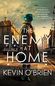 The Enemy at Home cover image cdn