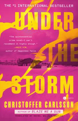 Under the storm  cover image cdn
