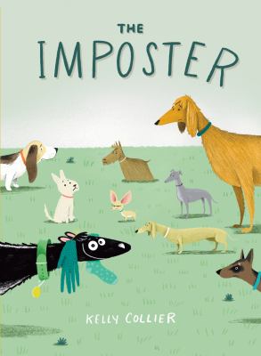 The imposter  cover image cdn
