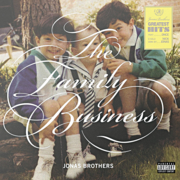 The family business cover image cdn
