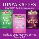 Holiday Cozy Mystery Series Collection : Books #1-3 cover image cdn