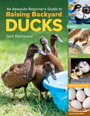 An absolute beginner's guide to raising backyard ducks cover image cdn