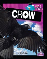 Crow cover image cdn