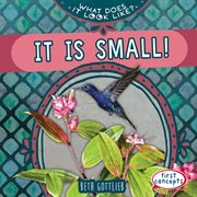 It Is Small! : What Does It Look Like? cover image cdn