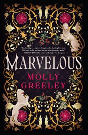 Marvelous : A Novel cover image cdn