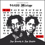 +4499 cover image cdn