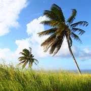 Breeze cover image cdn