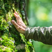 Closer cover image cdn