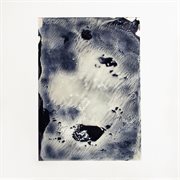 DT013 : World Wide Wave cover image cdn