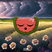 Heavy Rain No Thunder cover image cdn