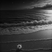 Lonely bloom cover image cdn