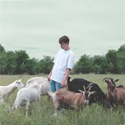 Misi cover image cdn