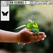 NEW BEGINNINGS II cover image cdn