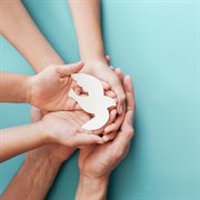 Peace cover image cdn