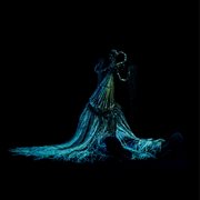 The Longest Shadow Attached to the Ankle cover image cdn