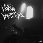 What We Didn't Have cover image cdn