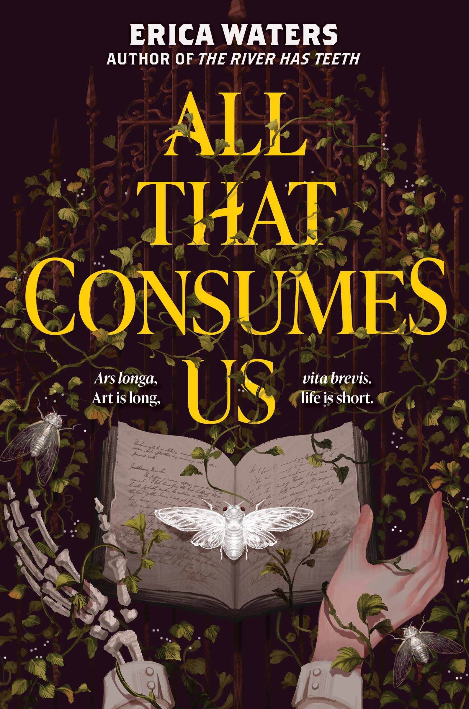 All That Consumes Us cover image cdn