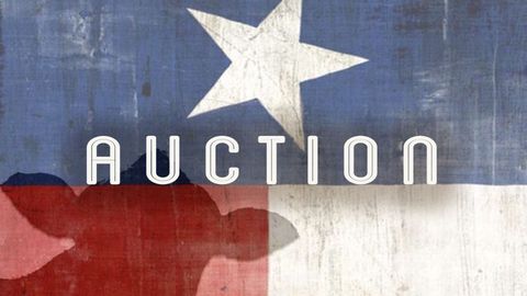 Auction cover image cdn