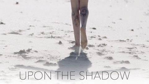 Upon the Shadow cover image cdn