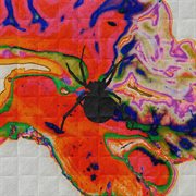 Doses cover image cdn