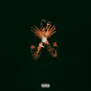 FALLEN RAVEN cover image cdn