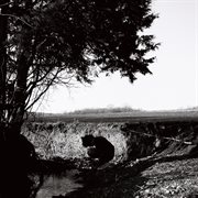 how many cover image cdn