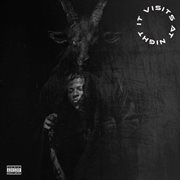 IT VISITS AT NIGHT (IVAN) cover image cdn