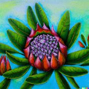 Nooi Van Die Velde cover image cdn