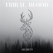 Secrets cover image cdn