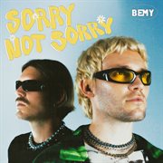 Sorry not Sorry cover image cdn