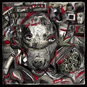 TagMond cover image cdn