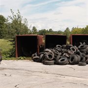 The Fall Collection cover image cdn