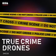 True Crime Drones cover image cdn