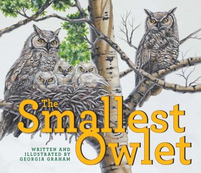 The smallest owlet  cover image cdn