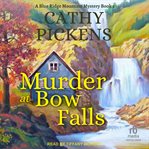 Murder at Bow Falls : Blue Ridge Mountain Cozy Mysteries cover image cdn