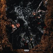 5th amndmnt cover image cdn