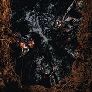 5th amndmnt cover image cdn