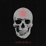 Amygdala cover image cdn