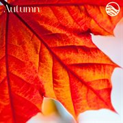 Autumn cover image cdn