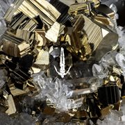 Days Gone cover image cdn