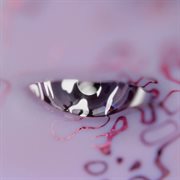 Elf F O cover image cdn