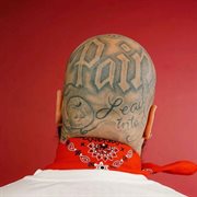 pain cover image cdn