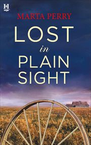 Lost in Plain Sight cover image cdn