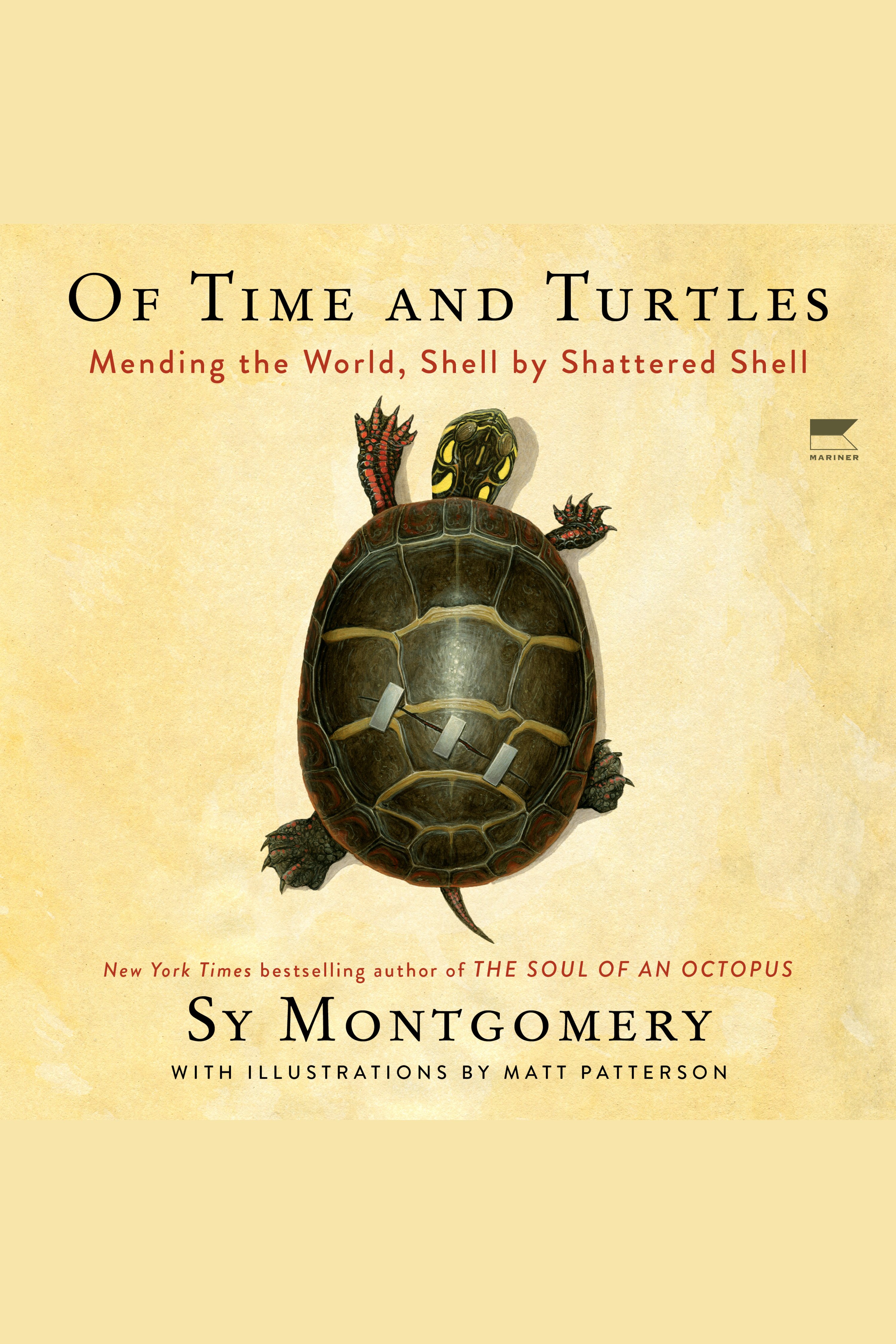 Of Time and Turtles Mending the World, Shell by Shattered Shell cover image cdn