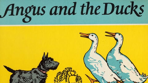 Angus and the Ducks cover image cdn