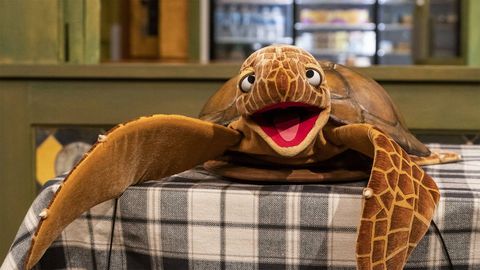 Sesame Street: S51. Episode 12, Turtle Tunes cover image cdn