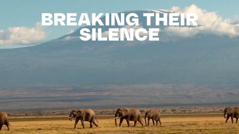 Breaking Their Silence cover image cdn